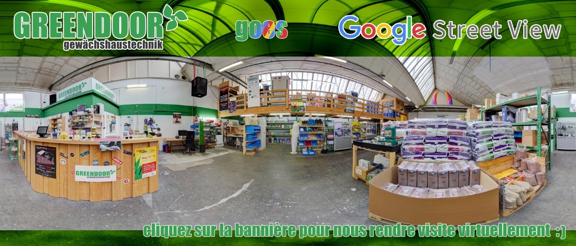 Google StreetView