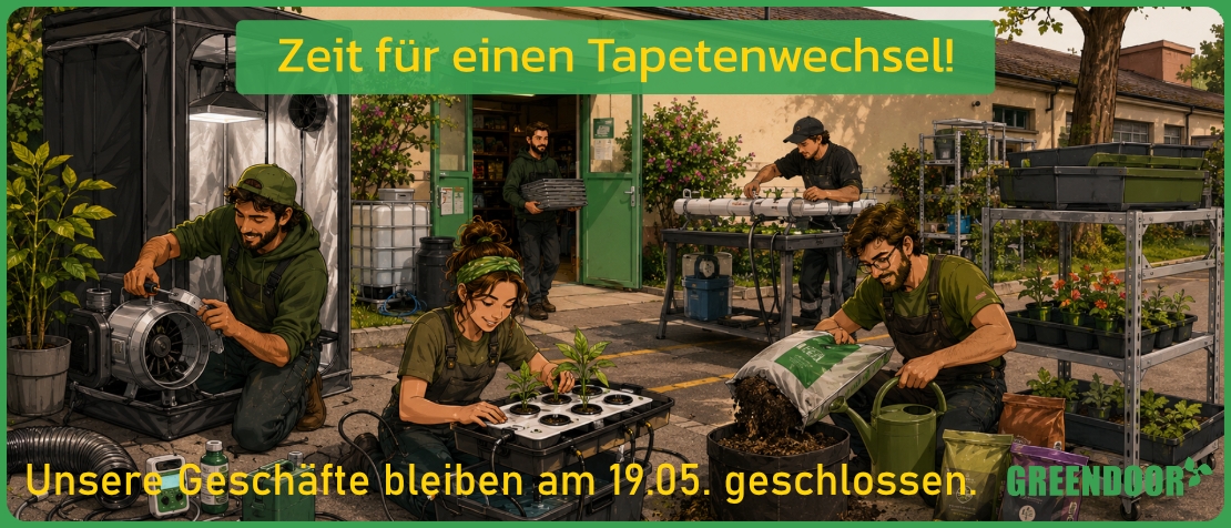 Systemchange 2026